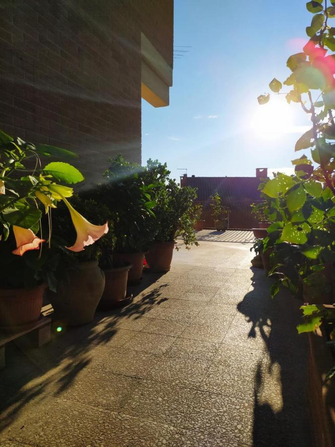 Residenza Damiano Hotel Assisi Bagian luar foto